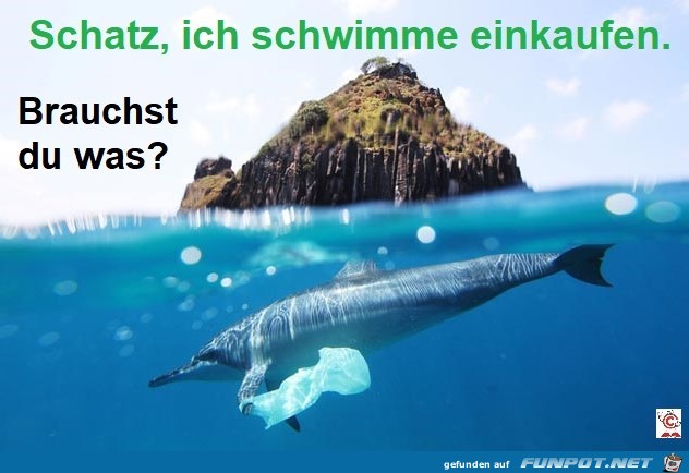 einkaufen schwimmen