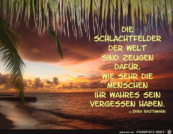 die schlachtfelder der welt die schlachtfelder der welt