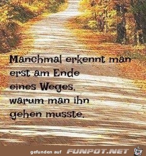 manchmal erkennt man