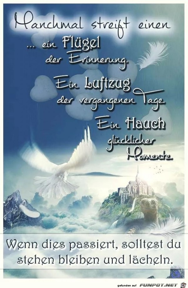 manchmal streift einen ein fluegel manchmal streift einen ein fluegel
