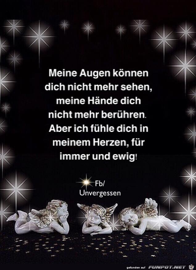 meine augen koennen dich nicht mehr sehen meine augen koennen dich nicht mehr sehen