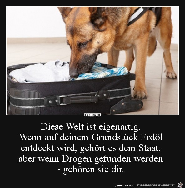 dese Weltt ist eigenartig..