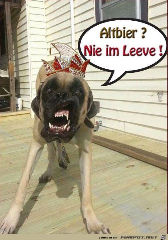Nie im Leben Nie im Leben