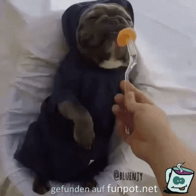 Mmmh das schmeckt Mmmh das schmeckt