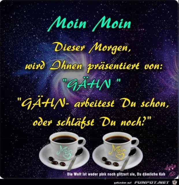 Moin Moin Moin Moin
