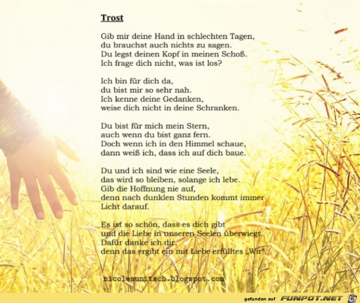Trost - Gedicht von Nicole Sunitsch