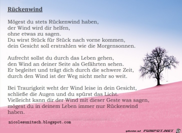 RCKENWIND - Gedicht von Nicole Sunitsch