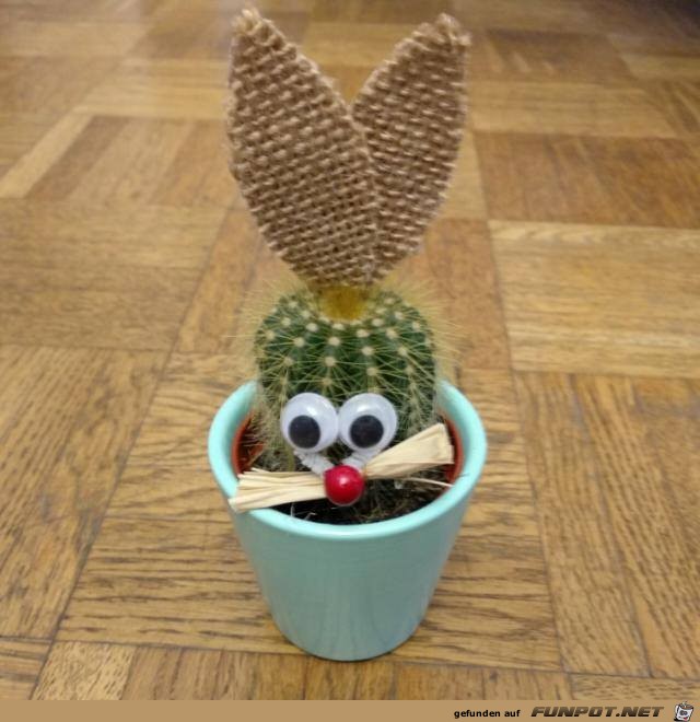 Oster-Kaktus