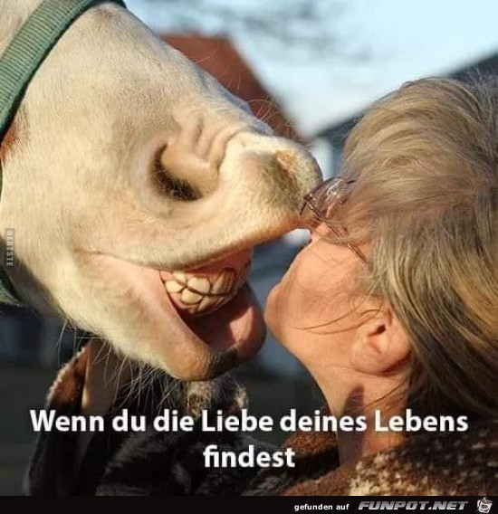 die Liebe deines Lebens..... die Liebe deines Lebens.....