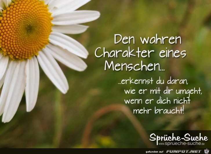 den wahren Charakter eines Menschen erkennst du...... den wahren Charakter eines Menschen erkennst du......