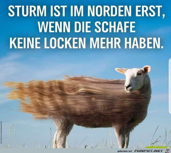 Sturm Sturm