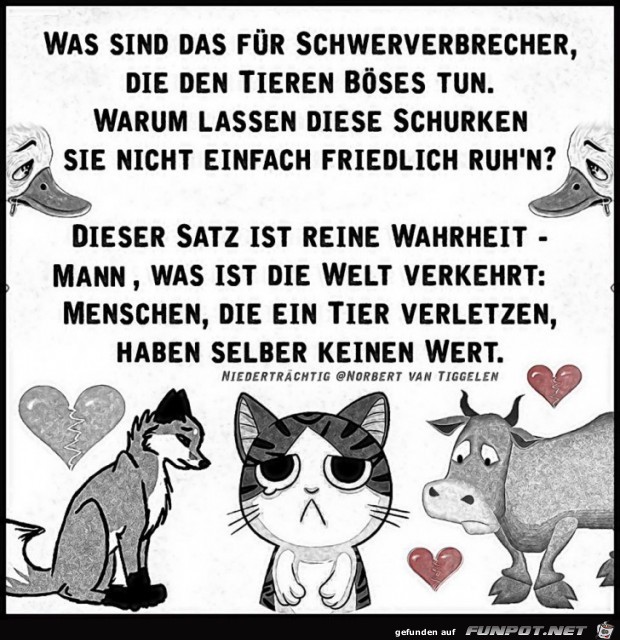 Niederträchtig 2019 Niederträchtig 2019