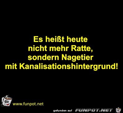 Ratte Ratte