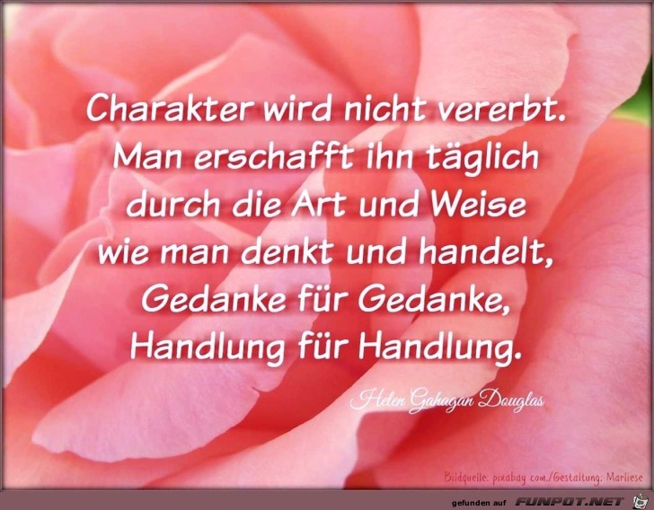 charakter wird nicht charakter wird nicht