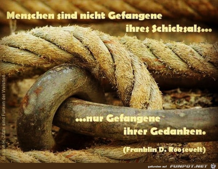 menschen sind nicht gefangene menschen sind nicht gefangene