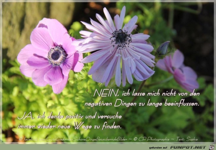 nein ich lasse mich nicht nein ich lasse mich nicht