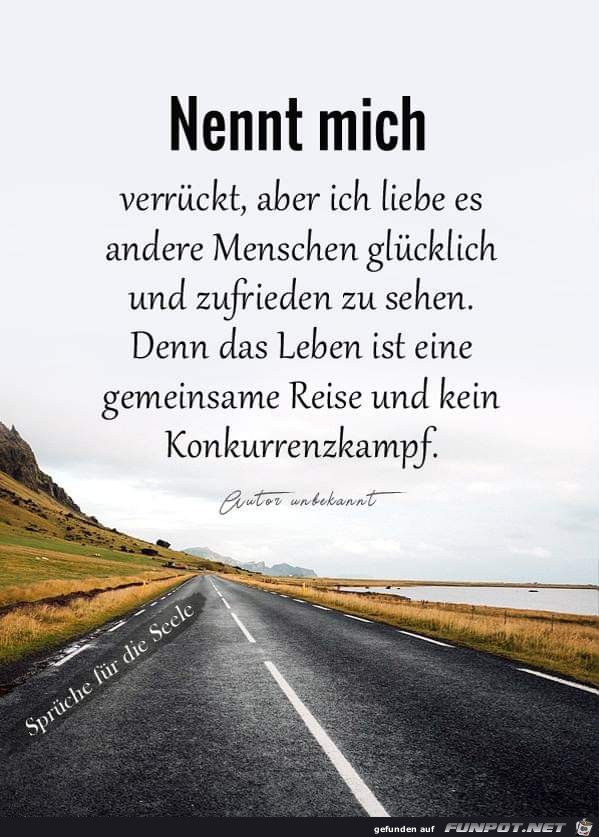 nennt mich verrueckt nennt mich verrueckt