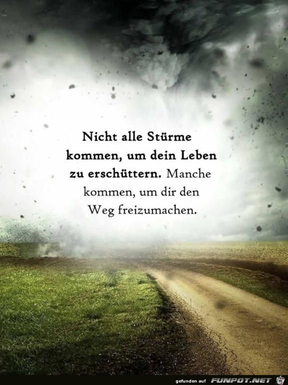 nicht alle stuerme nicht alle stuerme