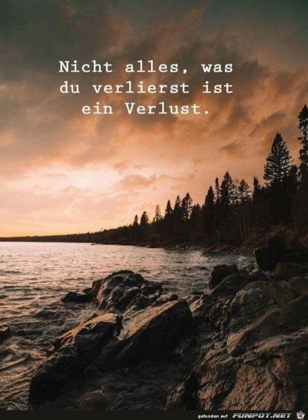nicht alles nicht alles