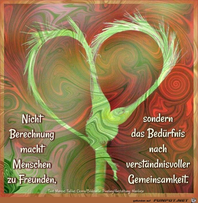 nicht berechnung nicht berechnung