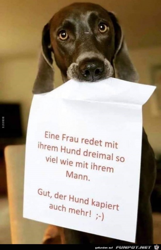 eine Frau redet mit ihrem Hund...