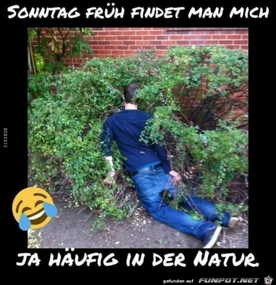 Sonntag früh findet man mich.... Sonntag früh findet man mich....