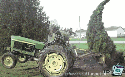 Widerspenstisch Widerspenstisch