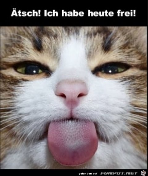 Aetsch Aetsch