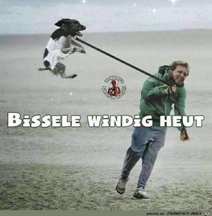 Sturm Sturm