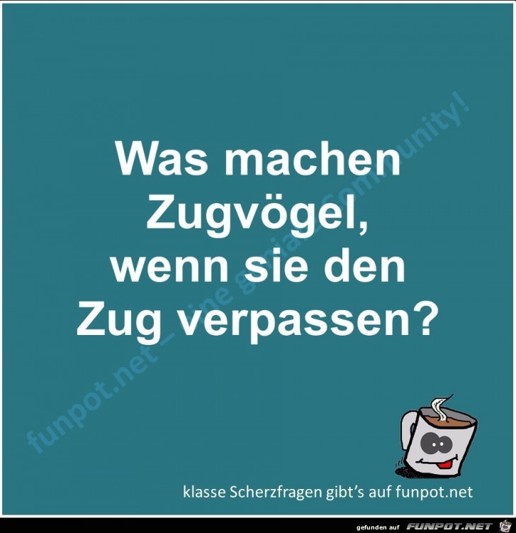 Scherzfrage Scherzfrage