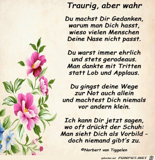 Traurig aber wahr 2019 Traurig aber wahr 2019