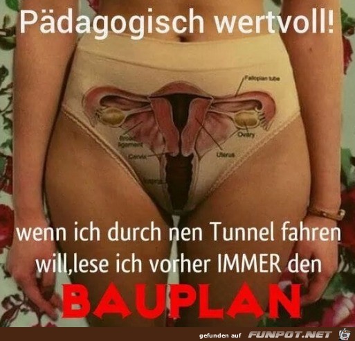 Bauplan