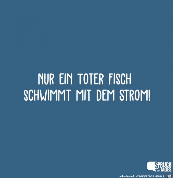 nur ein toter Fisch