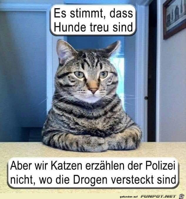 es stimmt es stimmt