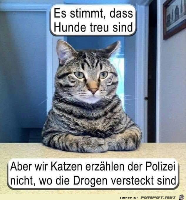 es stimmt