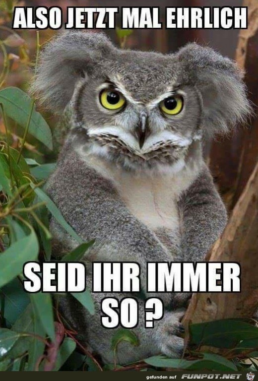 Seid ihr immer so