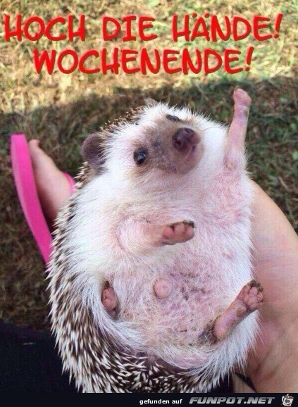 Wochenende