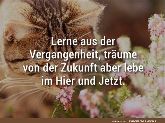 10 schne Sprche und Lebensweisheiten aus...