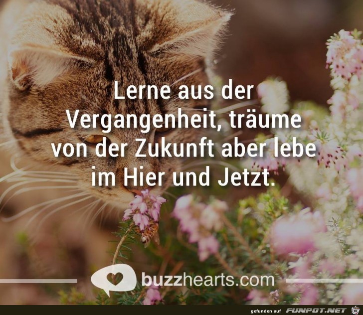 Lerne aus der Vergangenheit Lerne aus der Vergangenheit