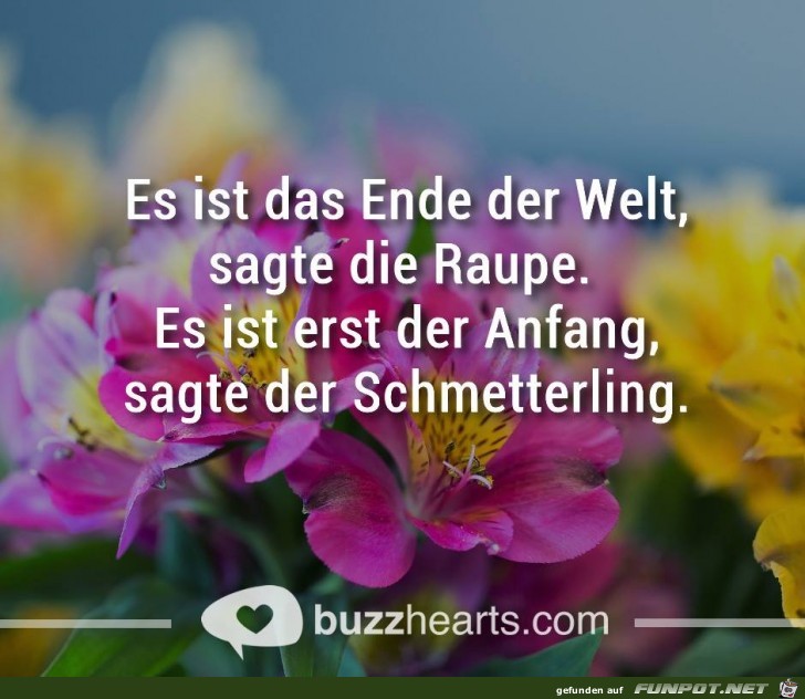 Es ist das Ende der Welt