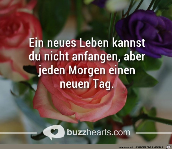 Ein neues Leben Ein neues Leben