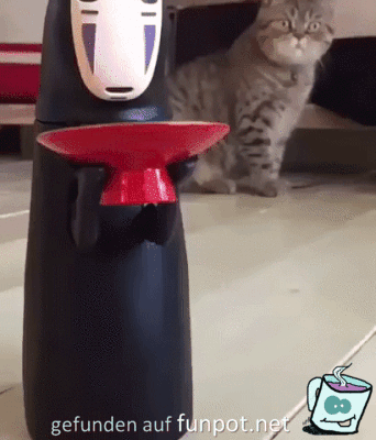 Die Katze kann es nicht fassen Die Katze kann es nicht fassen