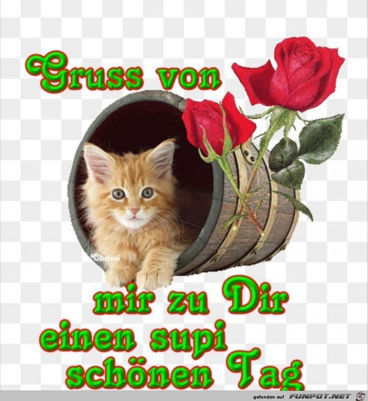 Viele Grüße Viele Grüße
