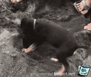 Das buddel ich auch wieder raus Das buddel ich auch wieder raus