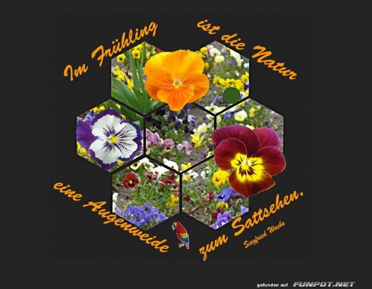 Im Fruehling ist... Im Fruehling ist...