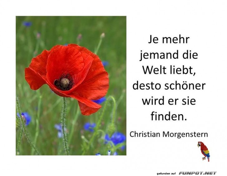 Welt lieben Welt lieben