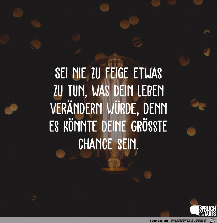 sei nie zu feige sei nie zu feige