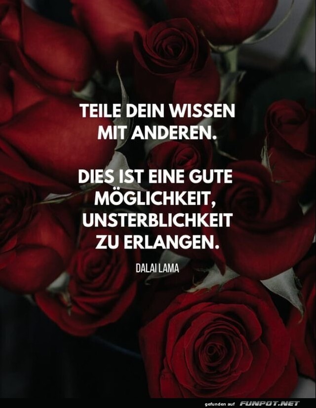 10 schöne Sprüche und Lebensweisheiten aus... 10 schöne Sprüche und Lebensweisheiten aus...