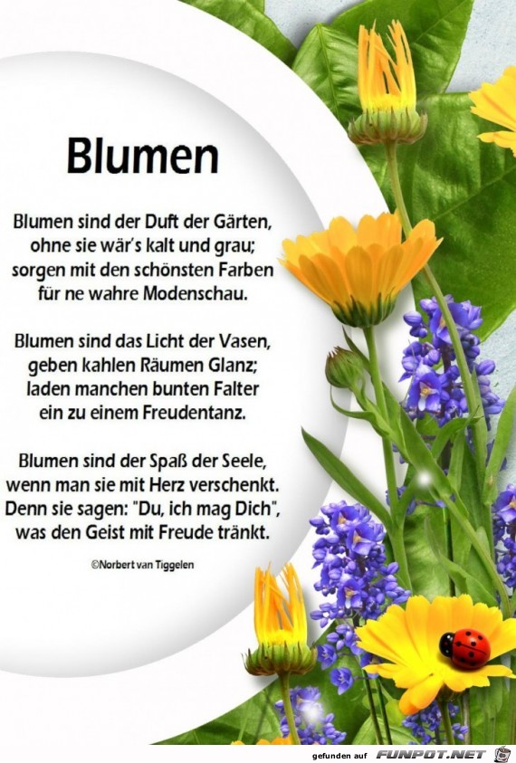 Blumen 2019