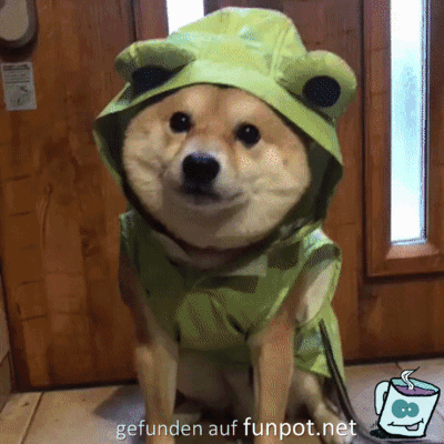 Dieser Blick Dieser Blick